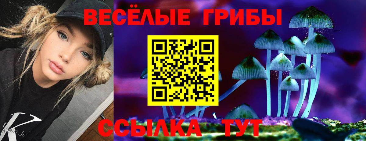 Батайск  Псилоцибиновые грибы GOLDEN TEACHER  Галлюциногенные грибы прущие грибы  Вход с VPN 